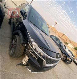کیا سێلتۆس
